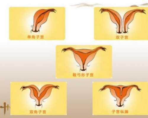 郑州哪家代孕公司可靠,自然受孕怀不