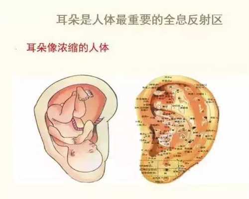 广州代怀孕哪里有_广州代怀孕最专业的_2019年2岁9个月宝宝智力发育标准