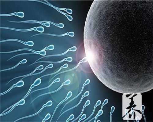 广州在找代孕得多少钱_广州代孕中心招捐卵_国内助孕